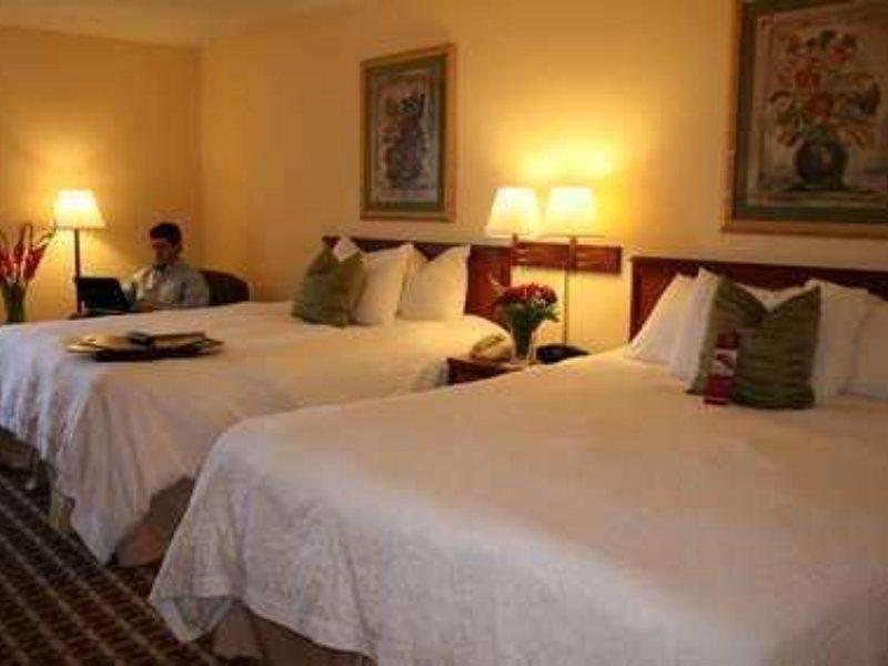Hampton Tampa-veterans Expressway Hotel Carrollwood Village
